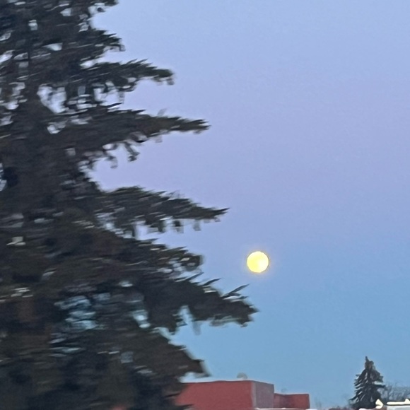 Meet your Posher, Em - Picture 1 of 1